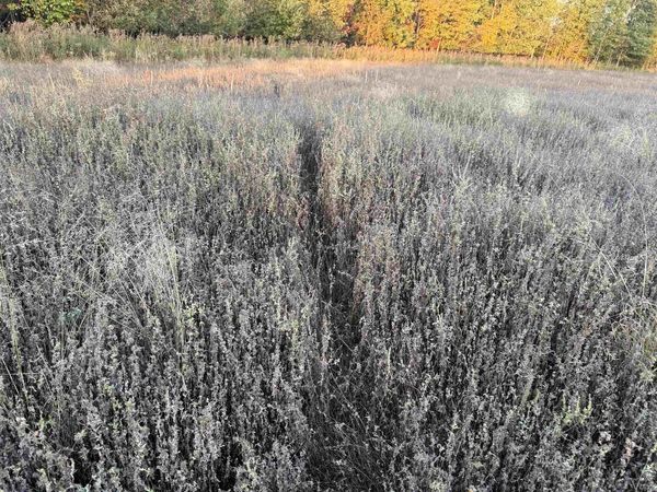 Lot 3 EAU CLAIRE RIVER ROAD, Aniwa, WI 54408