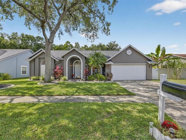 15026 ROCKY LEDGE DRIVE, TAMPA, FL 33625