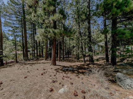1442 Price Road, South Lake Tahoe, CA 96150 Photo