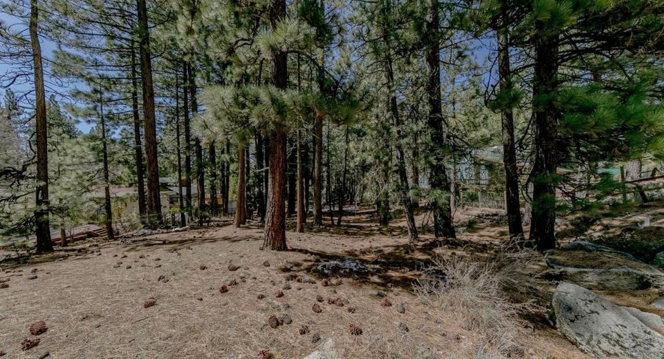 1442 Price Road, South Lake Tahoe, CA 96150 Photo