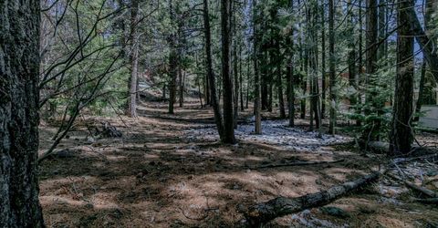 1442 Price Road, South Lake Tahoe, CA 96150 Photo