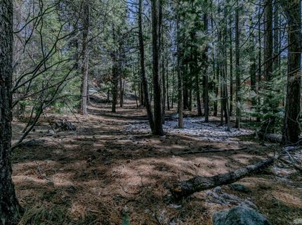 1442 Price Road, South Lake Tahoe, CA 96150 Photo