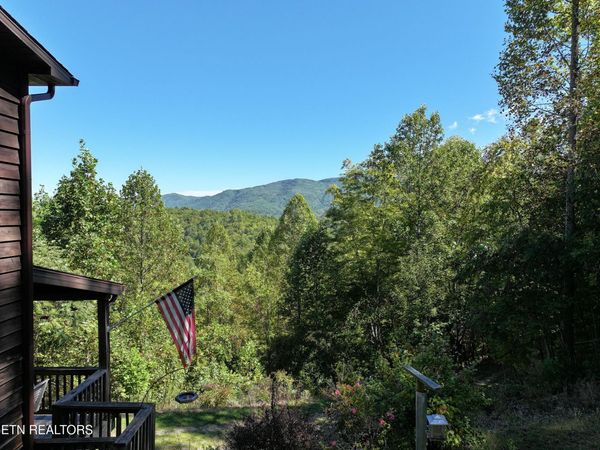 199 Pear Tree Way, Del Rio, TN 37727