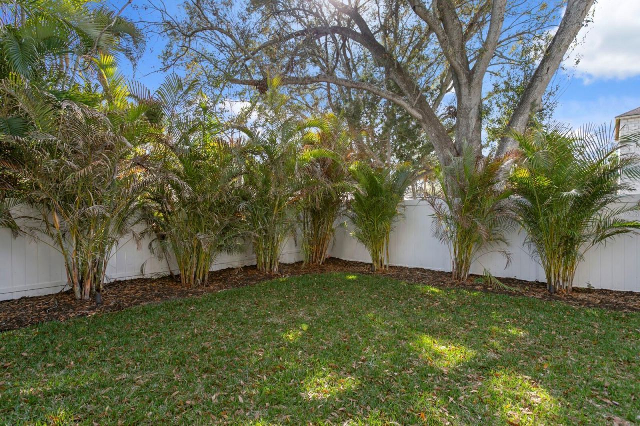 5104 W Platt Street, Tampa, FL 33609 Photo