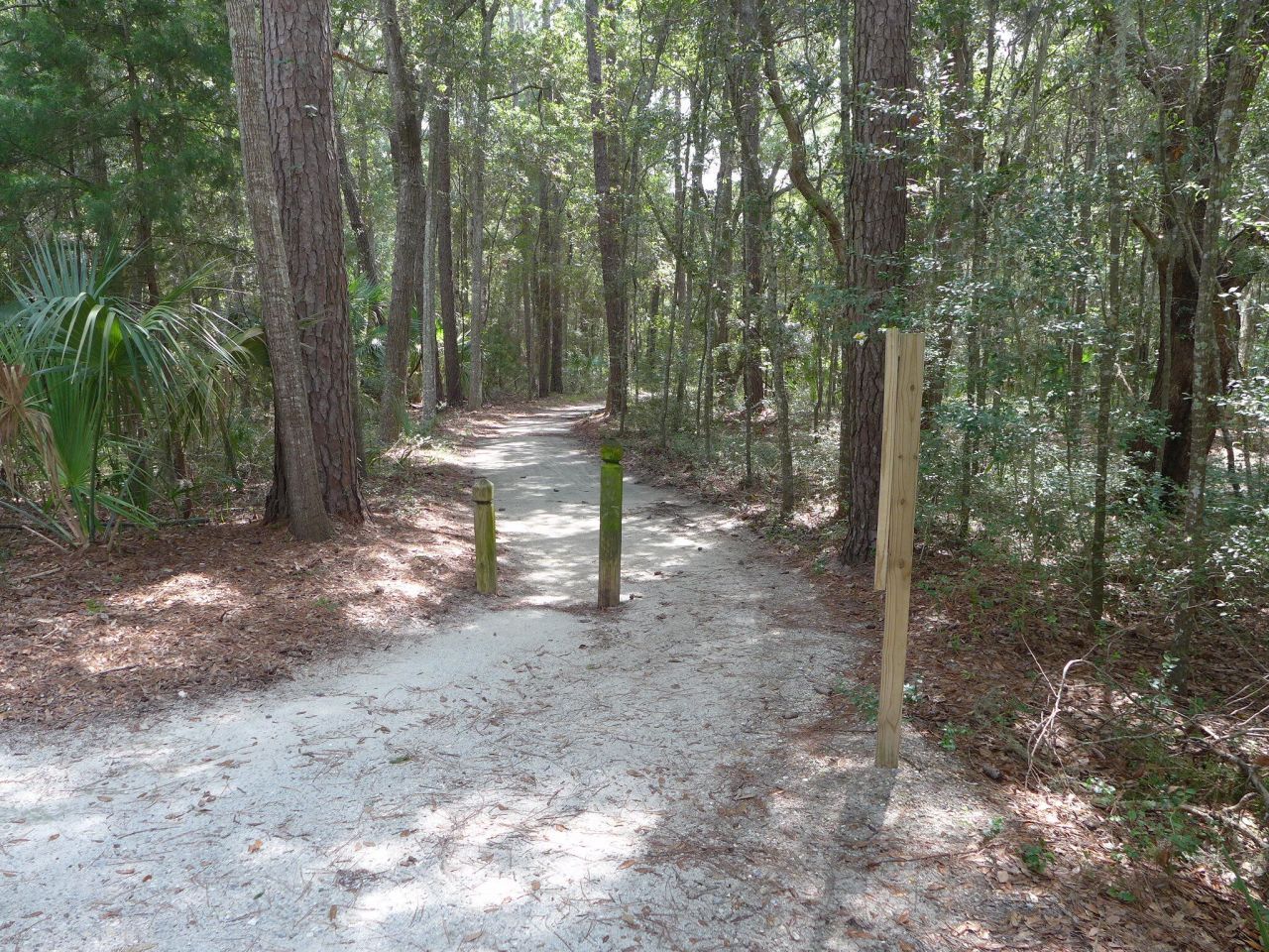 Lot 31 Foredeck Lane Photo 17