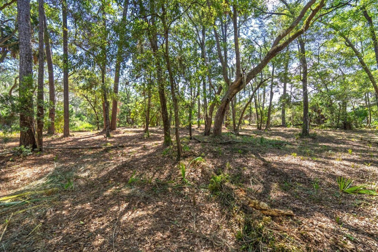 Lot 31 Foredeck Lane Photo 5