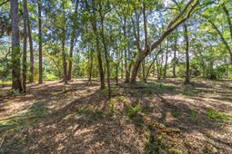 Lot 31 Foredeck Lane photo 4