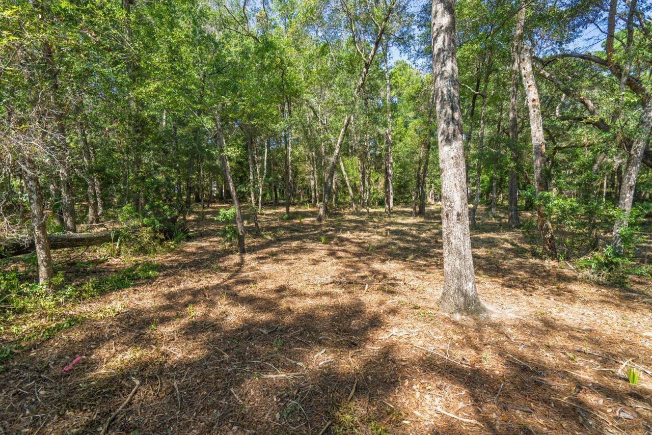 Lot 31 Foredeck Lane Photo 8