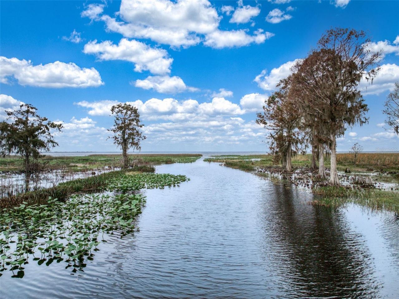 612 Dragonfly Lane, Lorida, FL 33857 Photo