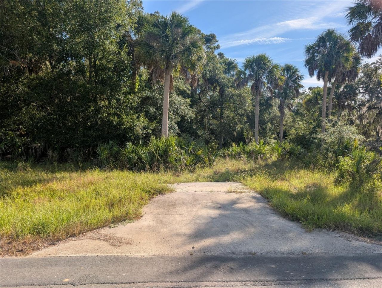 11009 N Withla Bluff Point, Inglis, FL 34449 Photo