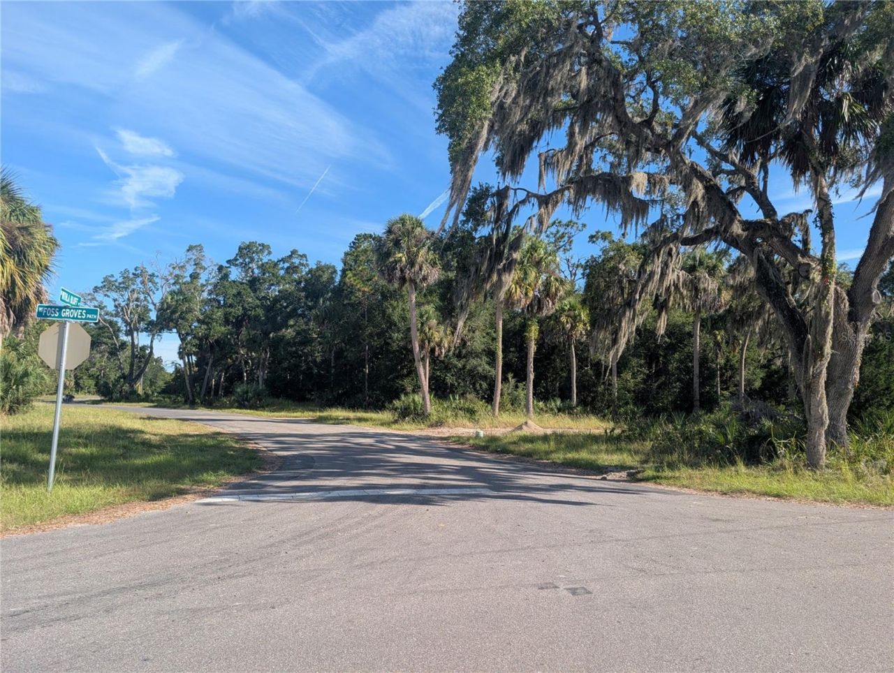 11009 N Withla Bluff Point, Inglis, FL 34449 Photo