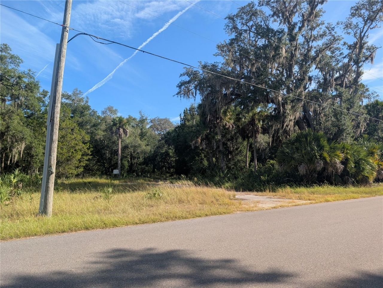 11009 N Withla Bluff Point, Inglis, FL 34449 Photo