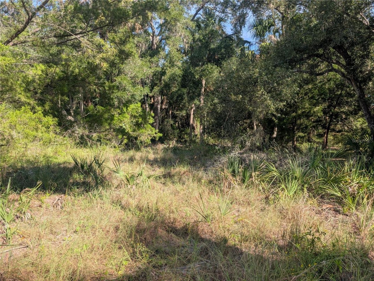 11009 N Withla Bluff Point, Inglis, FL 34449 Photo