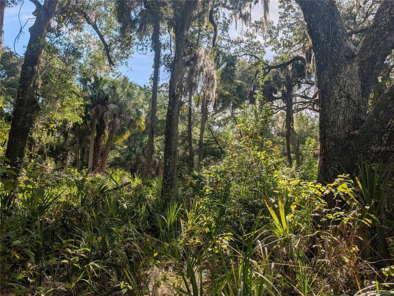 11009 N Withla Bluff Point, Inglis, FL 34449 Photo