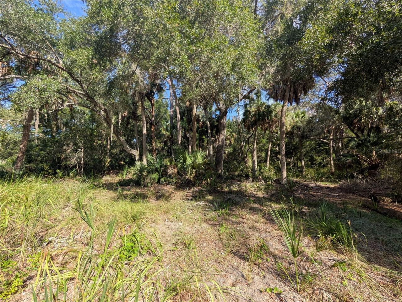 11009 N Withla Bluff Point, Inglis, FL 34449 Photo
