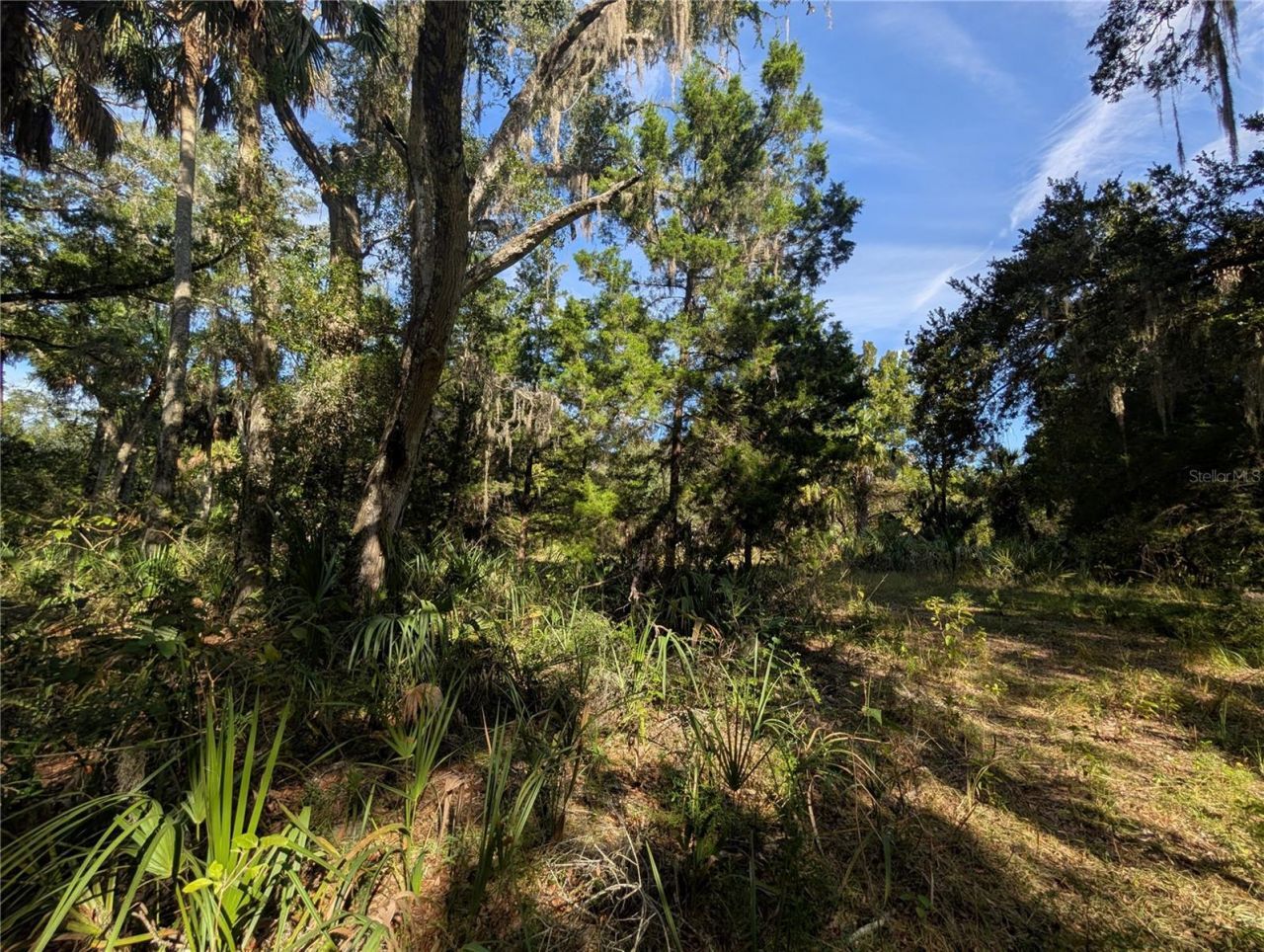 11009 N Withla Bluff Point, Inglis, FL 34449 Photo