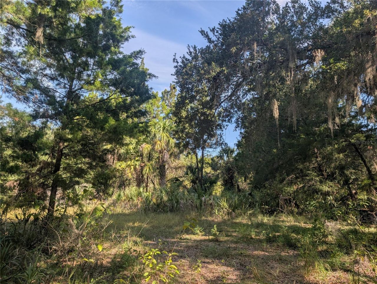 11009 N Withla Bluff Point, Inglis, FL 34449 Photo