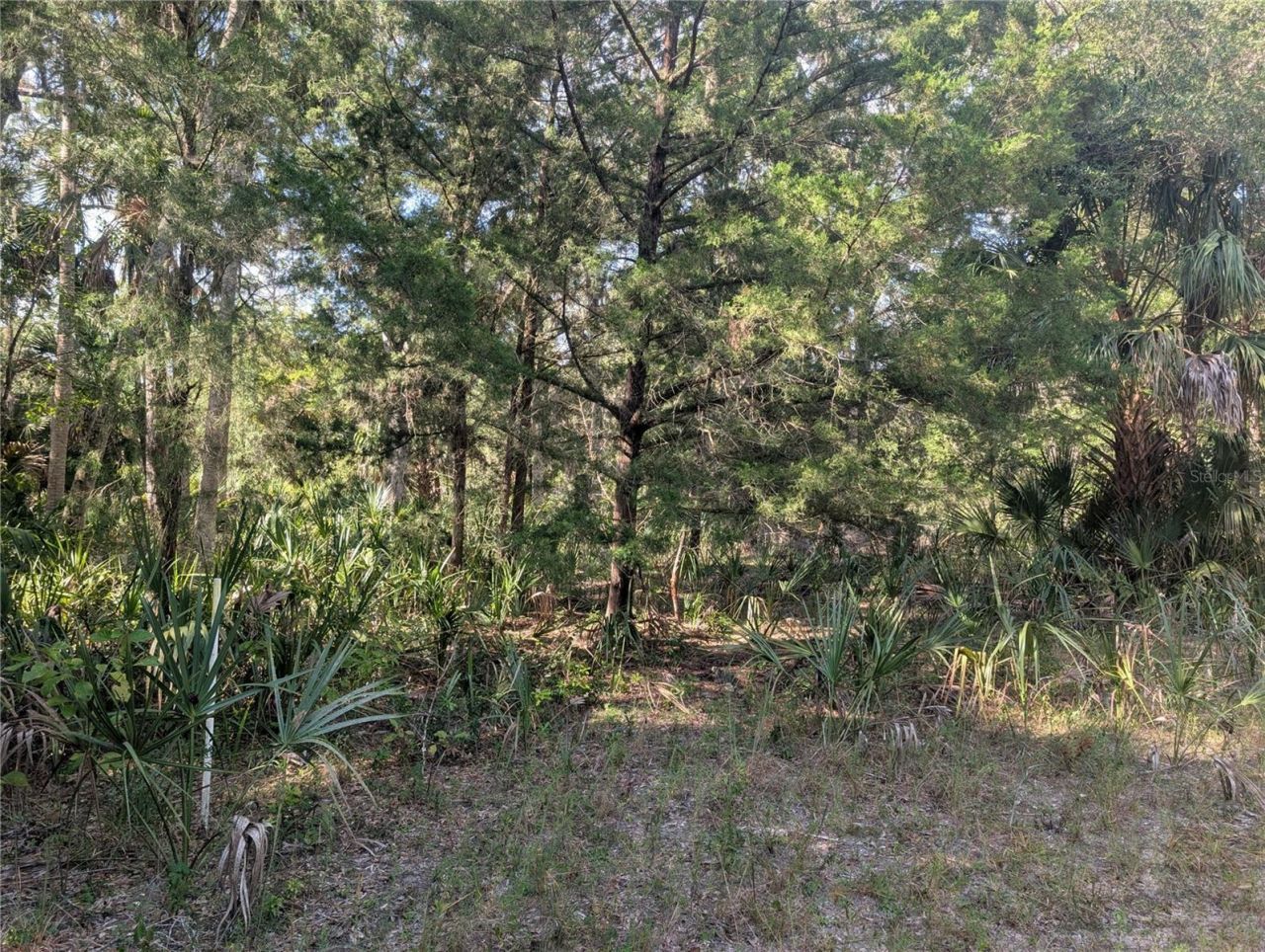 11009 N Withla Bluff Point, Inglis, FL 34449 Photo