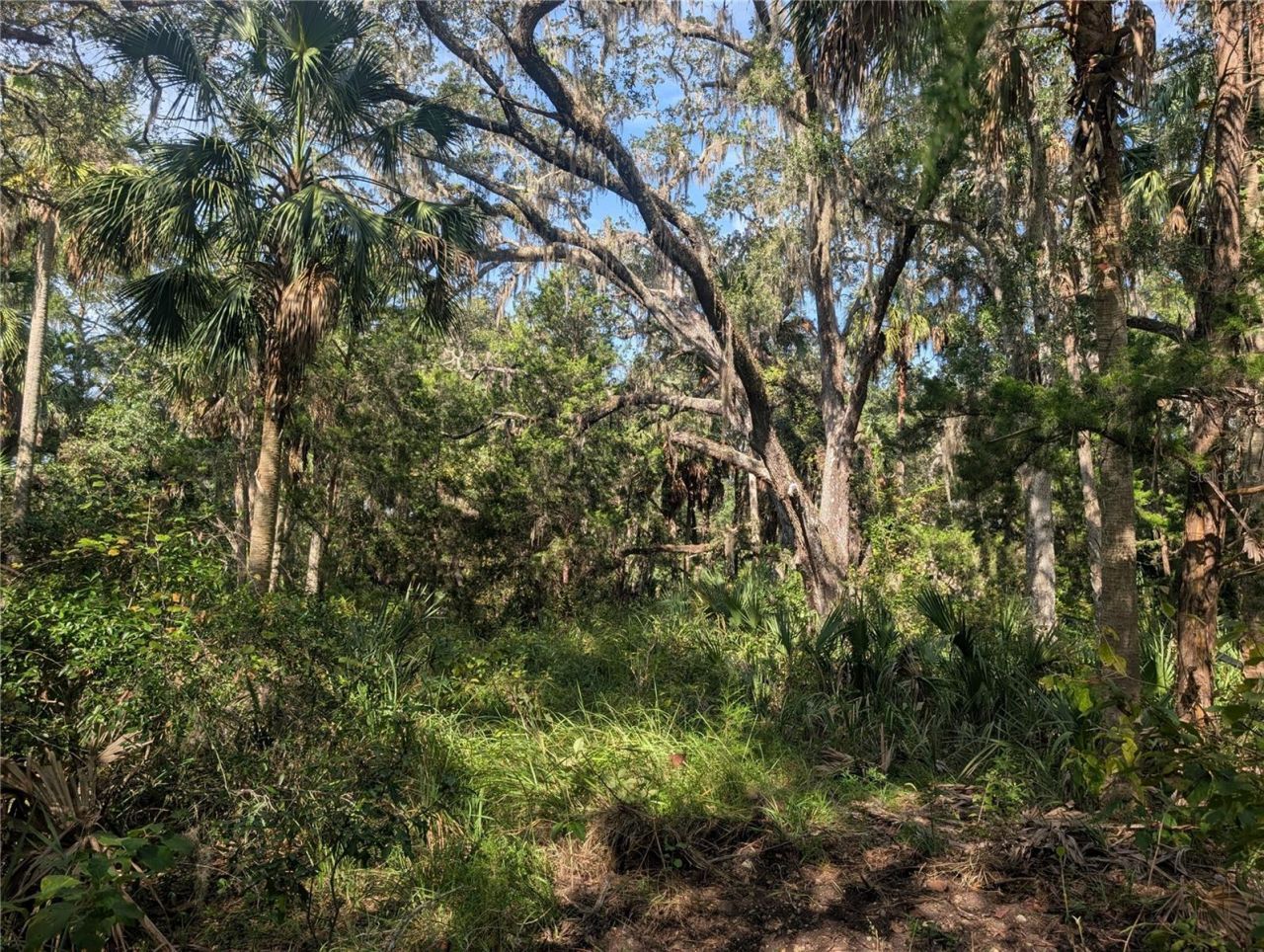 11009 N Withla Bluff Point, Inglis, FL 34449 Photo