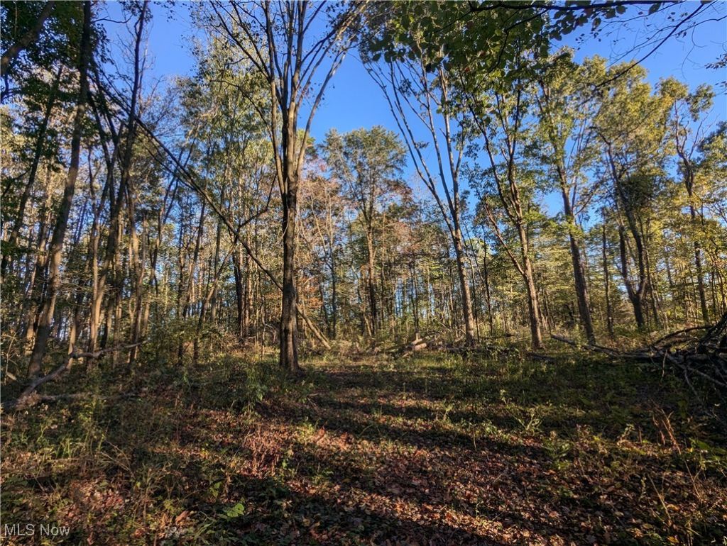 Forbes Road, Wellsville, OH 43968 Main Photo