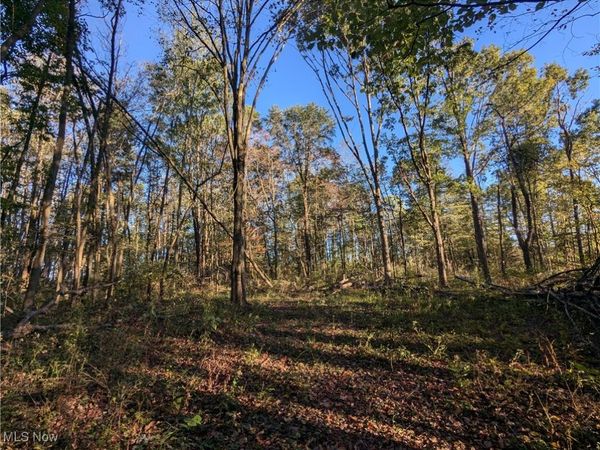 Forbes Road, Wellsville, OH 43968