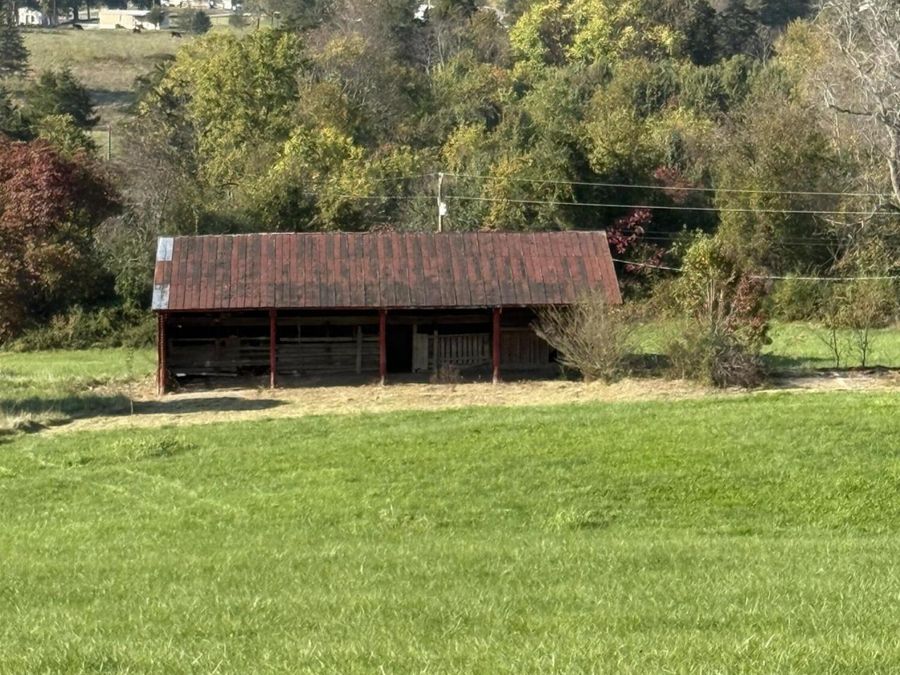 Property Image 45