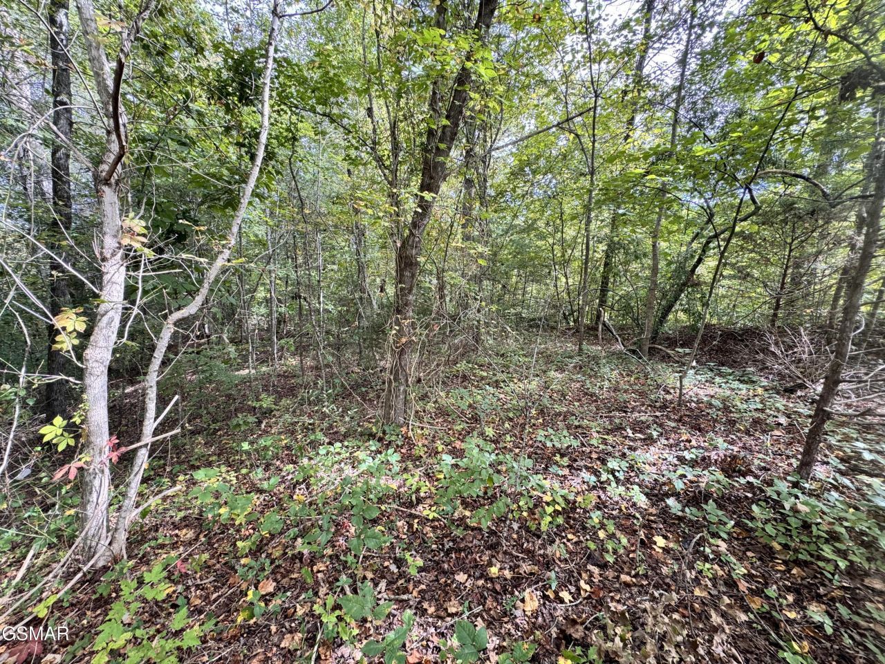 Lot 90 Owls Cove Way, Sevierville, TN 37862 Main Photo