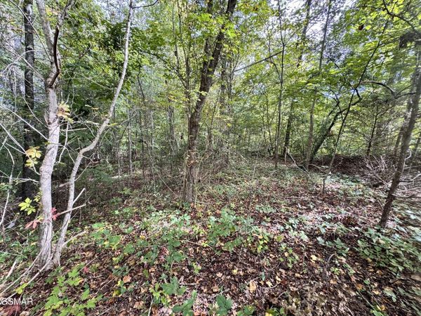 Lot 90 Owls Cove Way, Sevierville, TN 37862