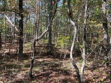 tbd GERTIES LN, STUARTS DRAFT, VA 24477