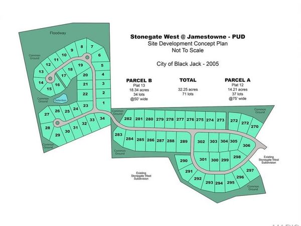 13630 Old Halls Ferry Lane, Black Jack, MO 63033