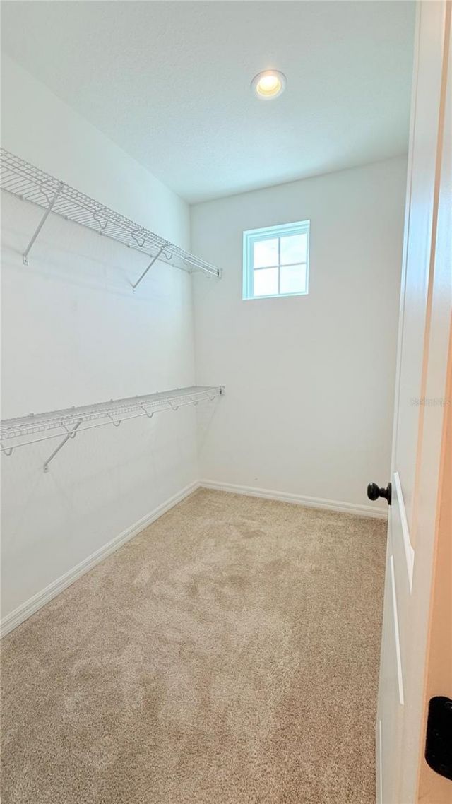 4623 Reisswood Loop, Palmetto, FL 34221 Photo