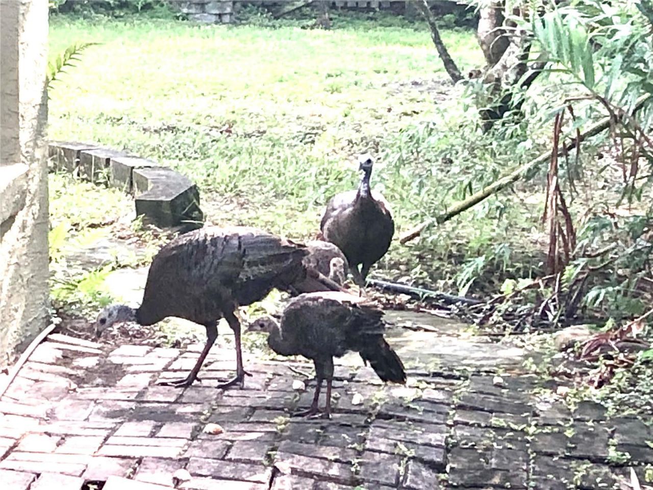 10662 Crystal Springs Court, Orlando, FL 32825 Photo