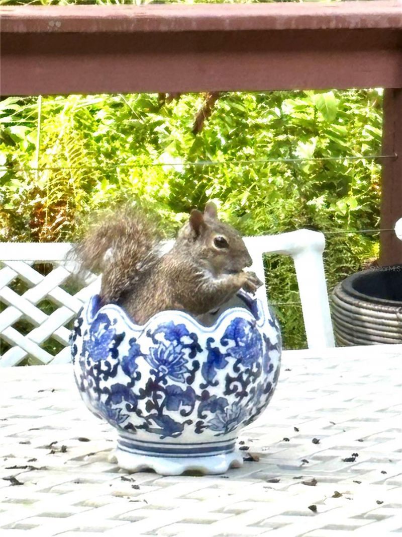 10662 Crystal Springs Court, Orlando, FL 32825 Photo