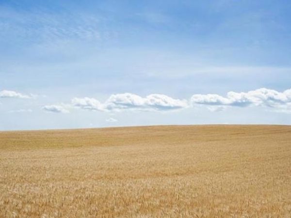 0 10050 Via Vis, Imperial, CA 92251