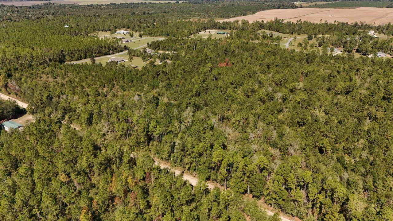 00 Cross Country Boulevard, Lot #68, Marianna, FL 32446 Photo