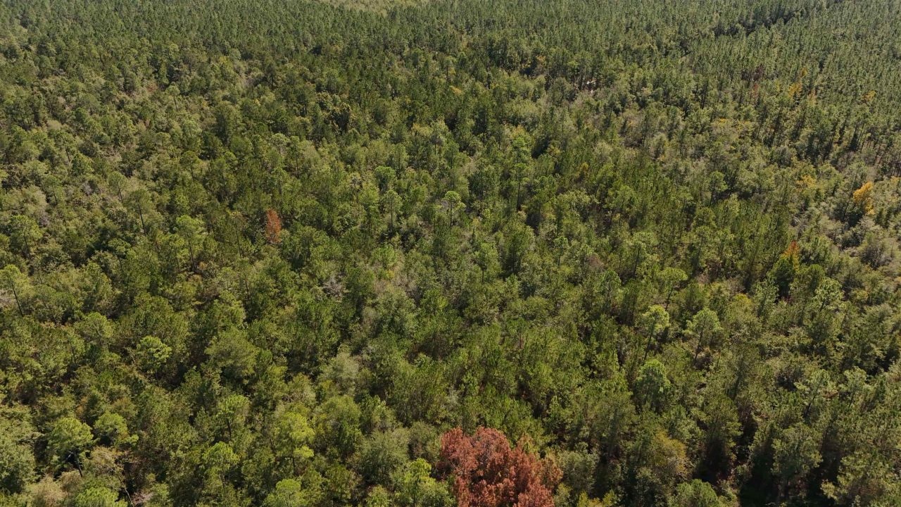 00 Cross Country Boulevard, Lot #68, Marianna, FL 32446 Photo