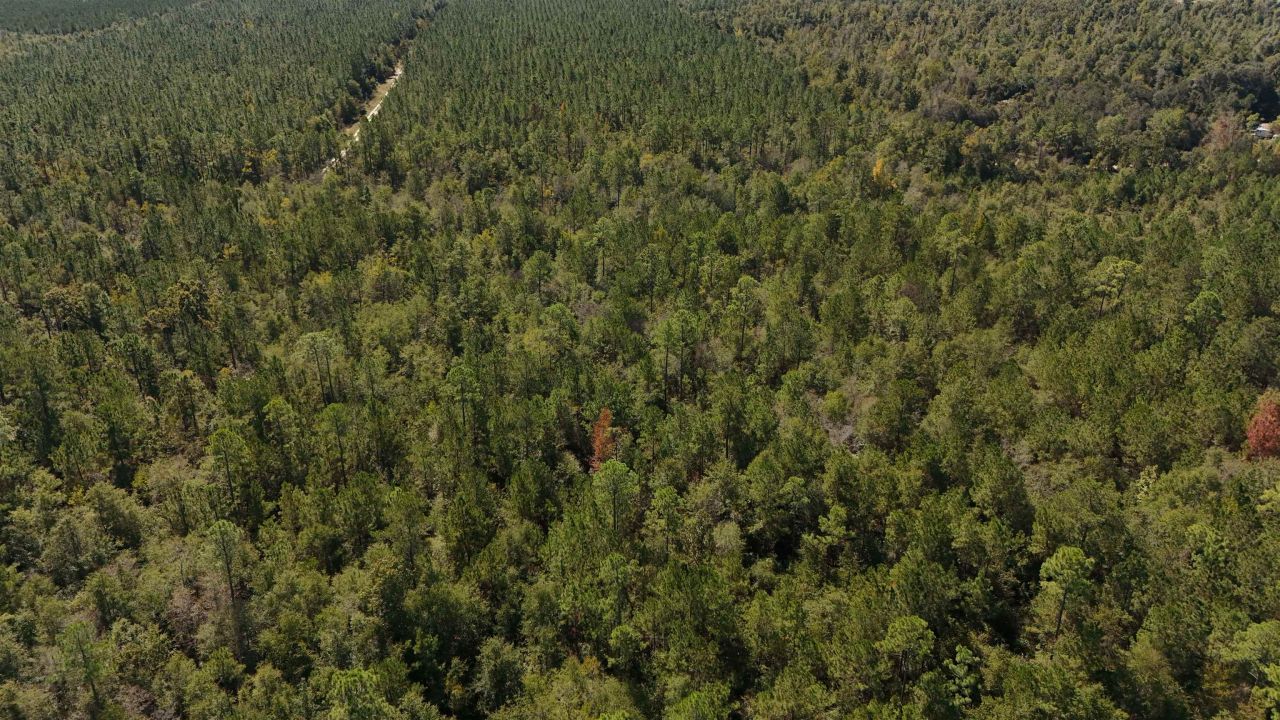 00 Cross Country Boulevard, Lot #68, Marianna, FL 32446 Photo