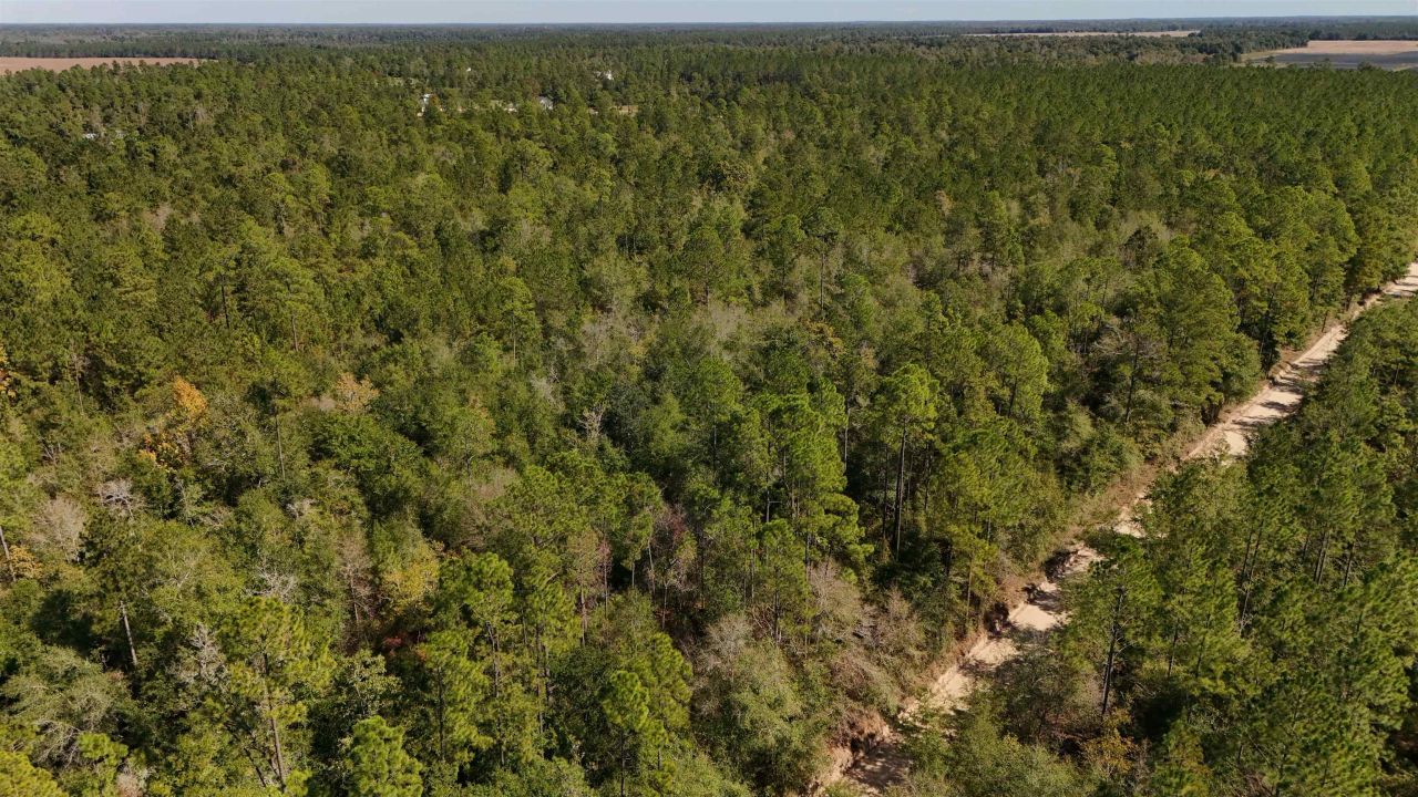 00 Cross Country Boulevard, Lot #68, Marianna, FL 32446 Photo