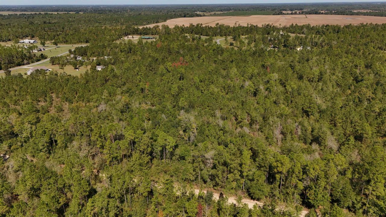 00 Cross Country Boulevard, Lot #68, Marianna, FL 32446 Photo