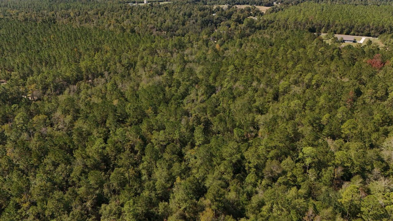 00 Cross Country Boulevard, Lot #68, Marianna, FL 32446 Photo