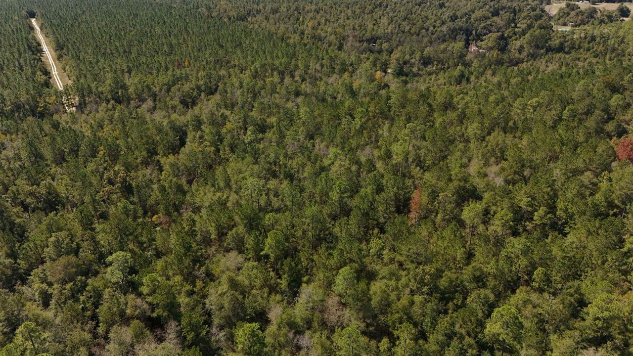 00 Cross Country Boulevard, Lot #68, Marianna, FL 32446 Photo