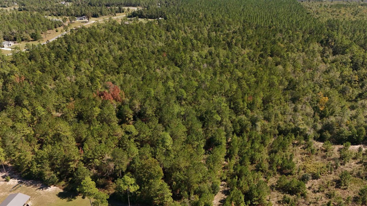 00 Cross Country Boulevard, Lot #68, Marianna, FL 32446 Photo