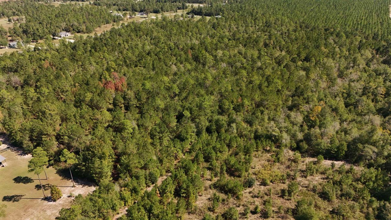 00 Cross Country Boulevard, Lot #68, Marianna, FL 32446 Photo