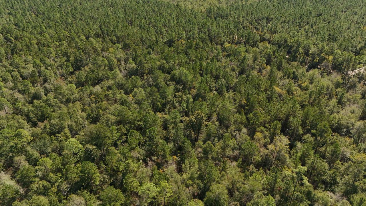 0 Cross Country Boulevard, Lot #70, Marianna, FL 32446 Photo