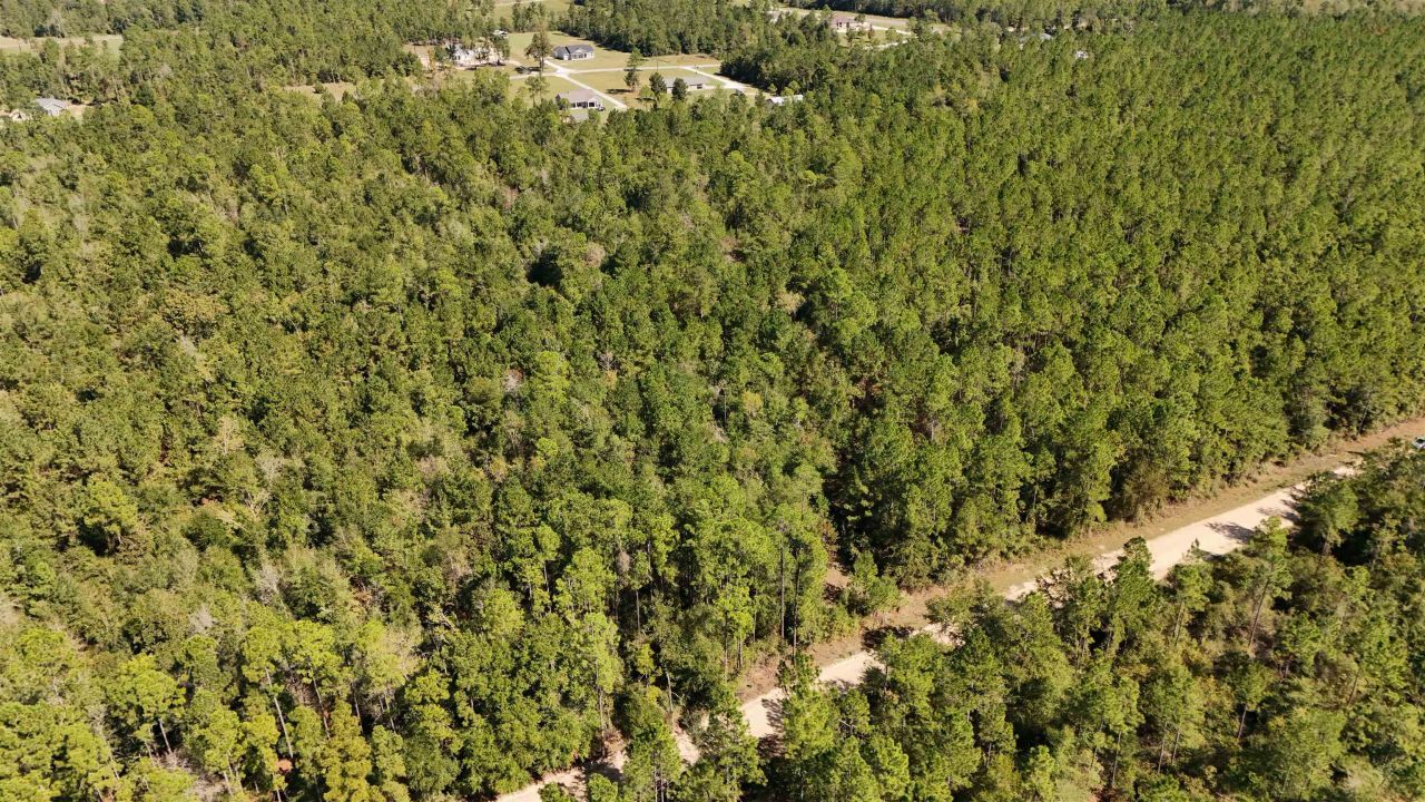 0 Cross Country Boulevard, Lot #70, Marianna, FL 32446 Photo