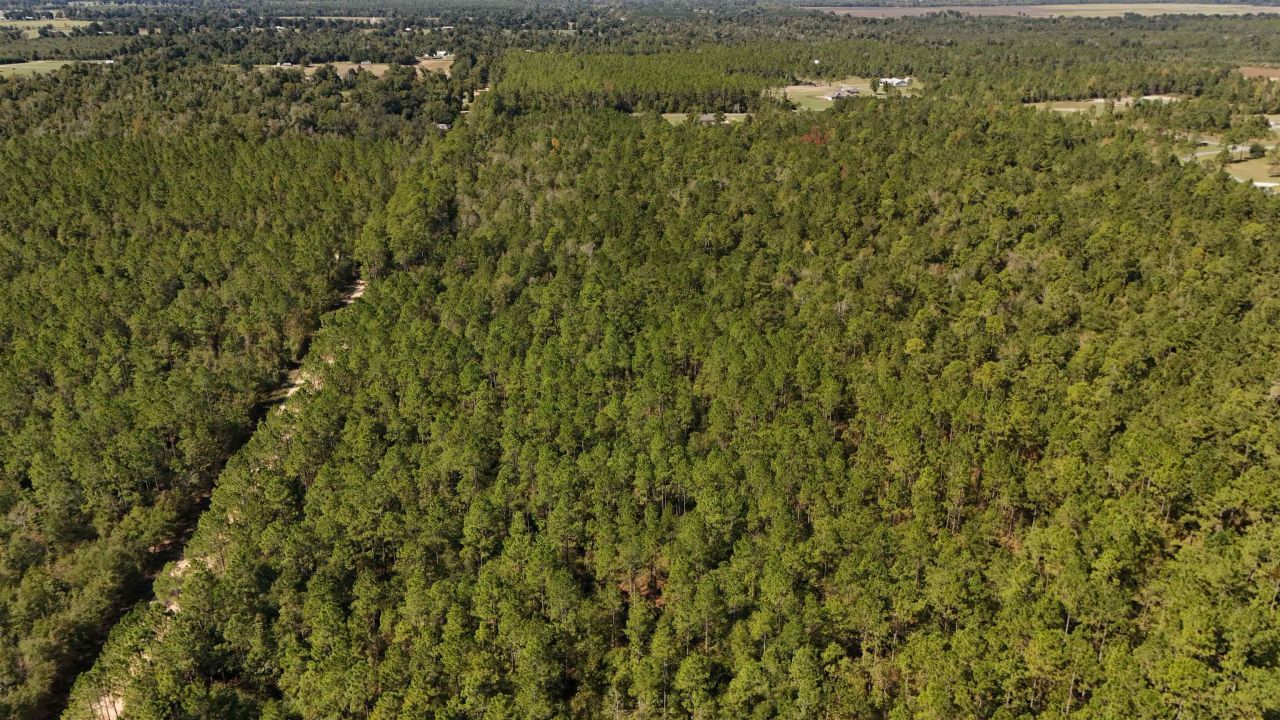 0 Cross Country Boulevard, Lot #70, Marianna, FL 32446 Photo