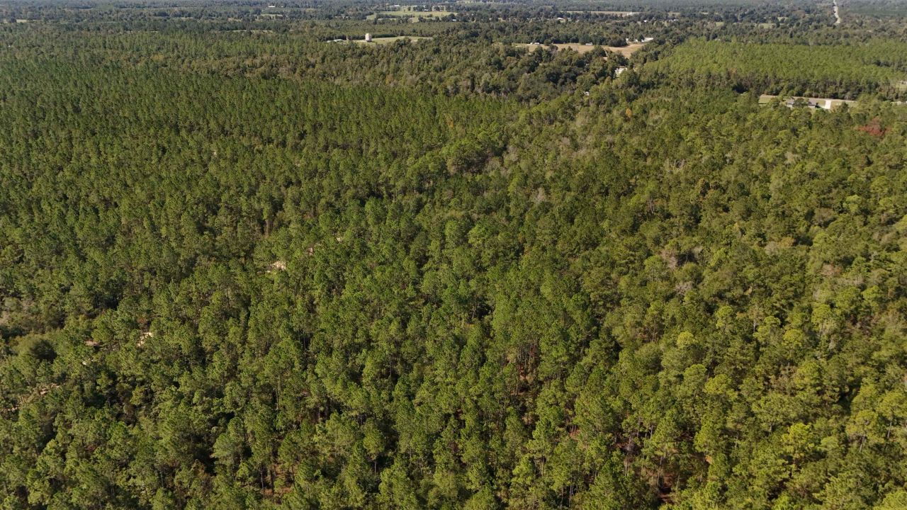 0 Cross Country Boulevard, Lot #70, Marianna, FL 32446 Photo