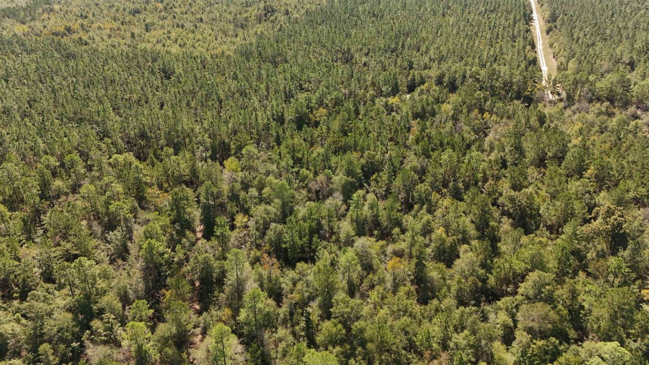 0 Cross Country Boulevard, Lot #70, Marianna, FL 32446 Photo