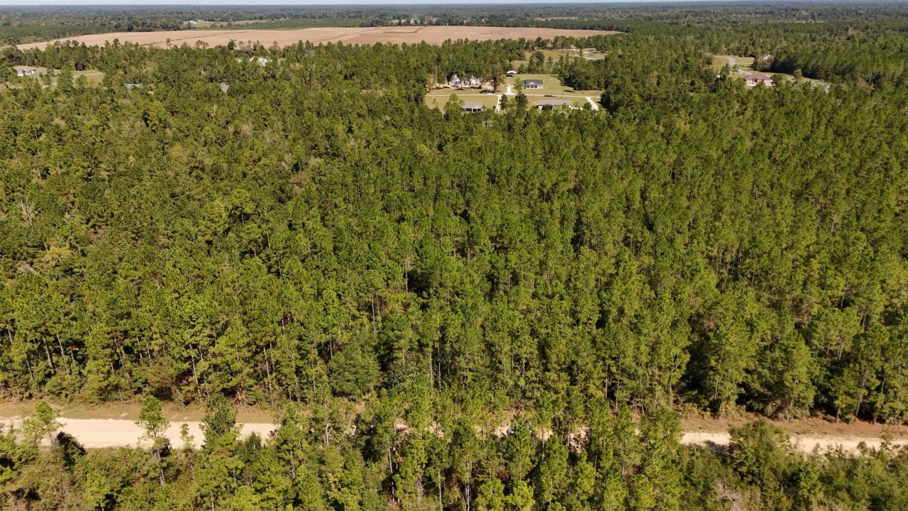 0 Cross Country Boulevard, Lot #70, Marianna, FL 32446 Photo