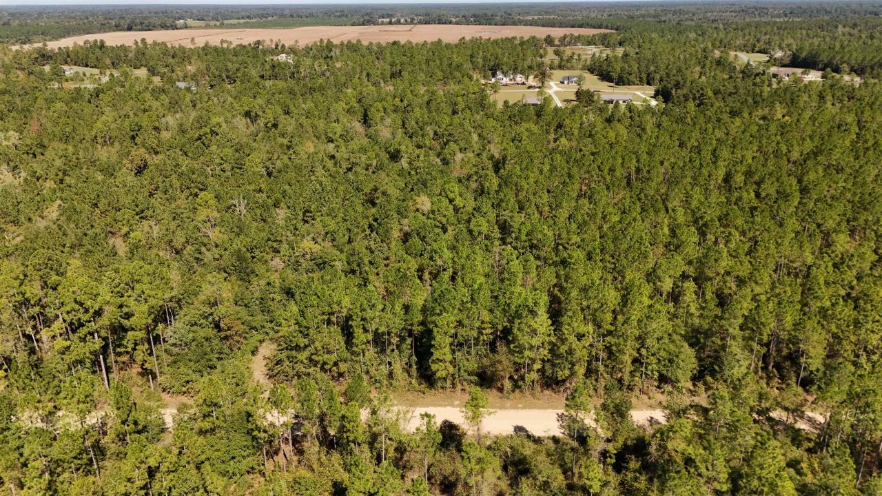 0 Cross Country Boulevard, Lot #70, Marianna, FL 32446 Photo